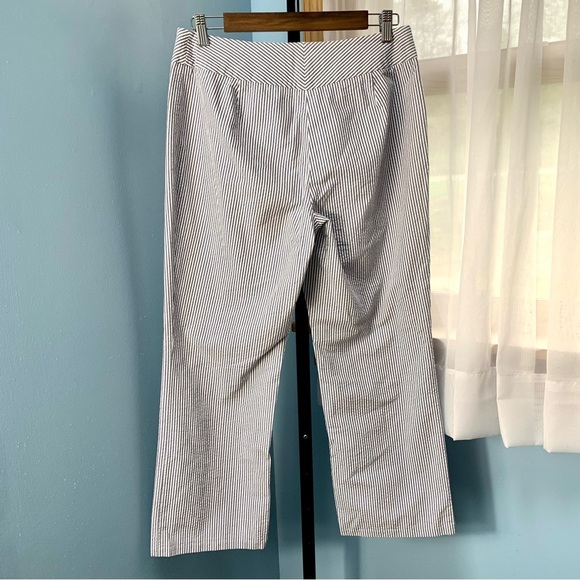 Ann Taylor Blue Seersucker Pants - Picture 6 of 7